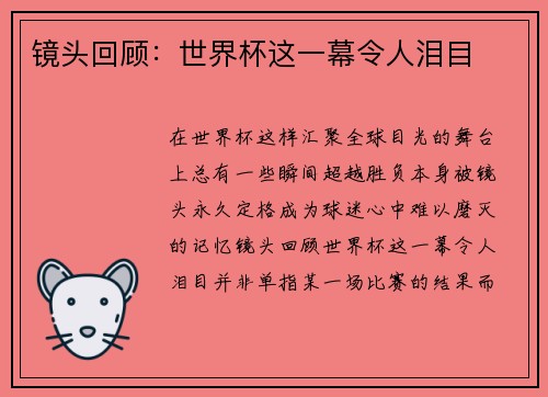 镜头回顾：世界杯这一幕令人泪目